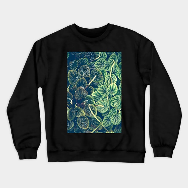 Little Green Leaves Crewneck Sweatshirt by oliviastclaire